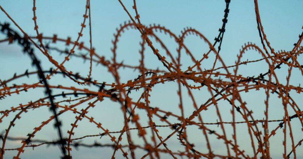 Tangled loops of rusty barbed wire stand out against a clear blue sky.