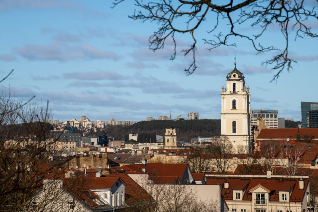 Historic city skyline with red rooftops and a tall white church tower under a blue sky, framed by bare tree branches.