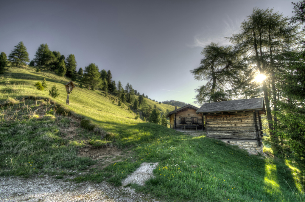 Wooden cabins on a grassy alpine hillside with trees and sunlight shining through the branches.