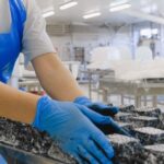 Food production worker wearing gloves arranges blocks of food on a tray in a processing facility